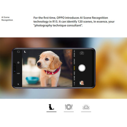 Limited Offer Refurbished OPPO R15 128GB+6GB 6.28" 20MP+16MP 2G/3G/4G LTE Dual SIM Android 8.1 3450mAh Face ID Fingerprint Unlock Smartphones Big Phones