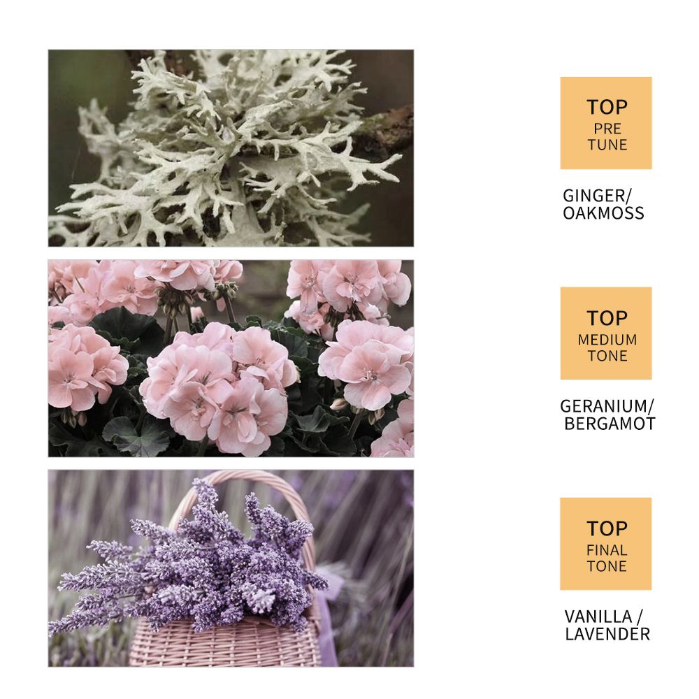 4PCS SADOER Ginger Hair Care 4PCS Set: Shampoo, Conditioner, Hair Mask & Treatment Liquid - Reduces Dryness, Bifurcation & Coarseness, Leaving Hair Elastic & Shiny