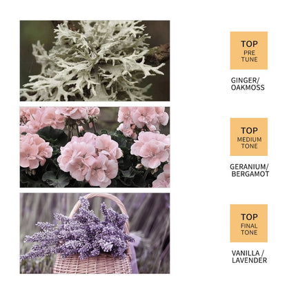 4PCS SADOER Ginger Hair Care 4PCS Set: Shampoo, Conditioner, Hair Mask & Treatment Liquid - Reduces Dryness, Bifurcation & Coarseness, Leaving Hair Elastic & Shiny