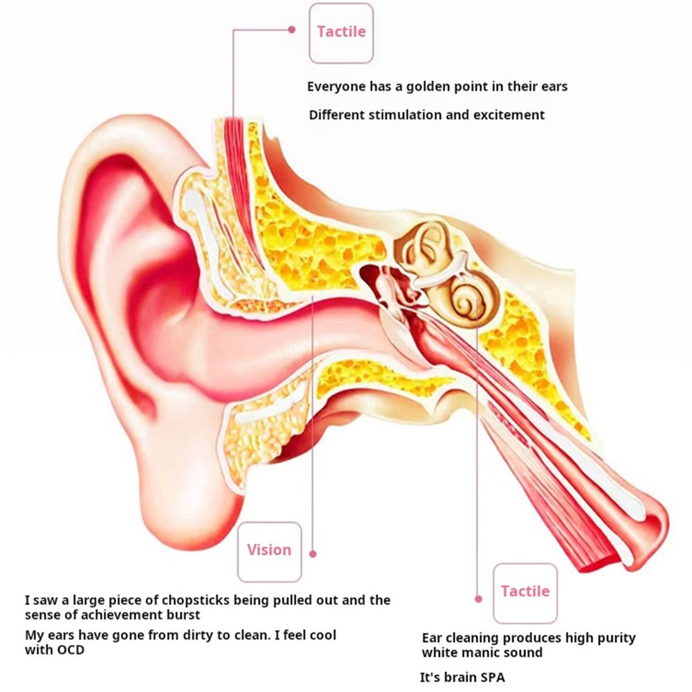 8 pieces set Ear picking set, professional ear digging, goose feather stick, ear spoon, buckle, special tool for hair picking, ear digging spoon
