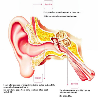 8 pieces set Ear picking set, professional ear digging, goose feather stick, ear spoon, buckle, special tool for hair picking, ear digging spoon