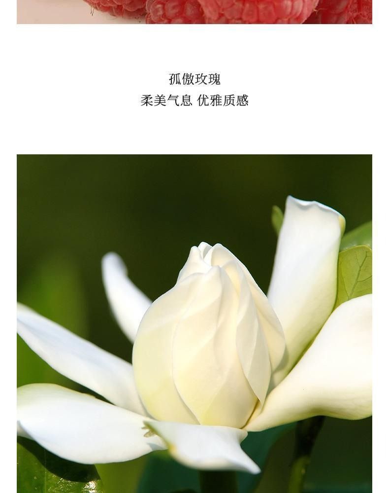 30ml*3 Piece Set for Women Long-Lasting Luxury Original Toilette Perfum Black Coffee Mon Paris Body Mist Fragrance Floral Fruit Scents Spray Perfume Gift Set for Women