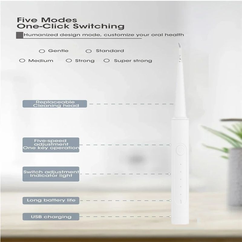 2in1 Electric Toothbrush With 3 Brush Head For Remove Tartar Whitening Teeth Oral Care USB Charging