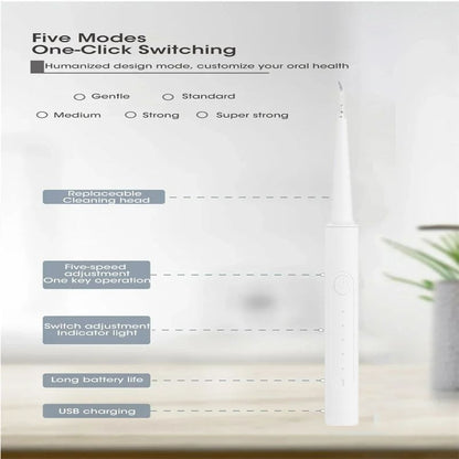 2in1 Electric Toothbrush With 3 Brush Head For Remove Tartar Whitening Teeth Oral Care USB Charging