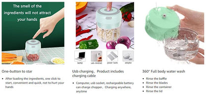 HW Wireless Electric Mini Garlic Chopper Machine(250ML), USB Kitchen Food Processor with 3 Blades
