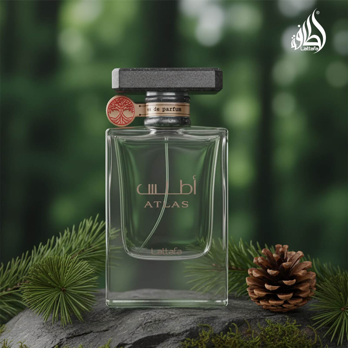 Lattafa Atlas Eau de Parfum 55ml – 360 Beauty Scents