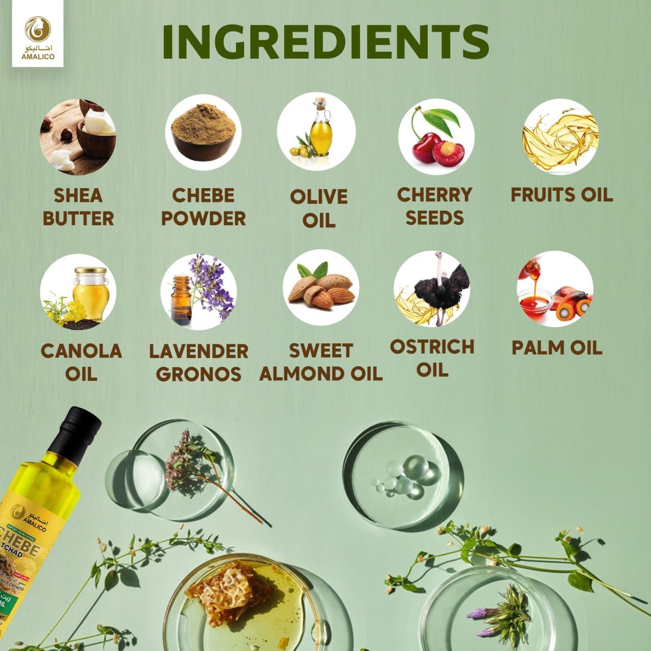 Chebe Oil for Hair Growth with SHEA BUTTER - Ready-to-Use Authentic African Chebe Powder for Hair Growth, Shea Butter, Palm Oil, Almond Oil, Olive Oil, Ostrich Oil (130ml)