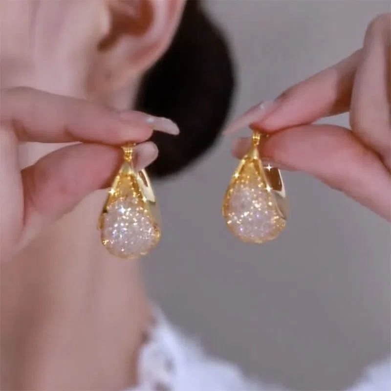 Mesh shaped crystal earrings for women, with a luxurious and high-end feel. Internet famous earrings, 2025 new trend, unique temperament, silver needle earrings