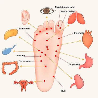 Foot Massager Stimulates Foot Acupoints to Dredge Meridians Roller Foot Center Finger Pressing Foot Board Foot Pressing Device Pain Relief Leg Feet Acupoints Massager Improve Blood Circulation