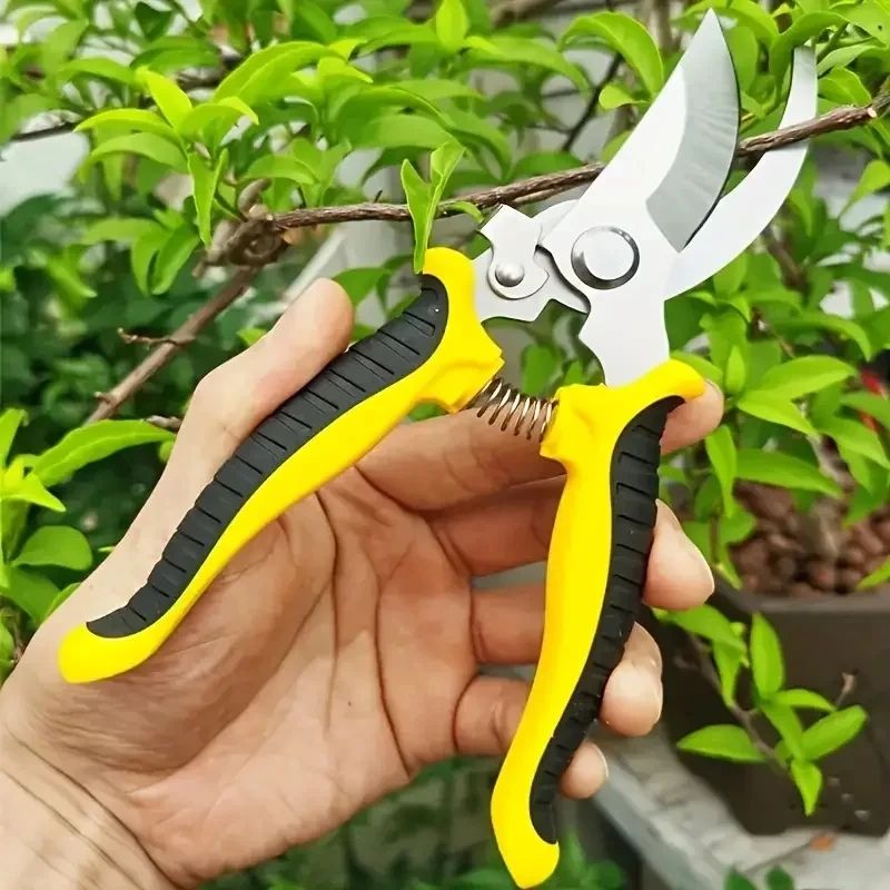 1Pcs Pruner Garden Scissors Professional Sharp Bypass Pruning Shears Tree Trimmers Secateurs Hand Clippers Garden Beak Scissors