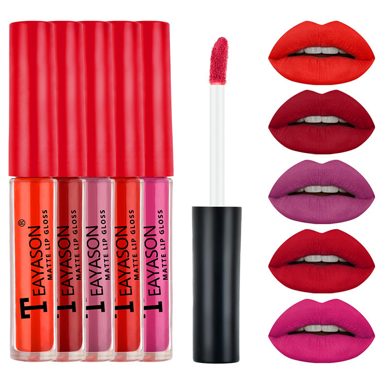 5Pcs/Set Waterproof Lipstick Lip Stick Lipstick Kit Long Lasting Moisturizer Matte Velvet Lipsticks Lips Makeup Cosmetics Labiales Beauty Makeup Valentine's Day Gift