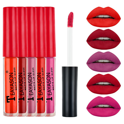 5Pcs/Set Waterproof Lipstick Lip Stick Lipstick Kit Long Lasting Moisturizer Matte Velvet Lipsticks Lips Makeup Cosmetics Labiales Beauty Makeup Valentine's Day Gift
