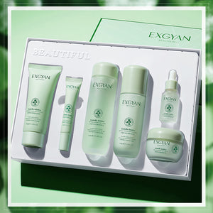 6-piece set of Centella Asiatica Peptide Skin Care Set facial cleanser + toner + essence + Face serum + moisturizer + Eye Cream to repair delicate skin and control oil