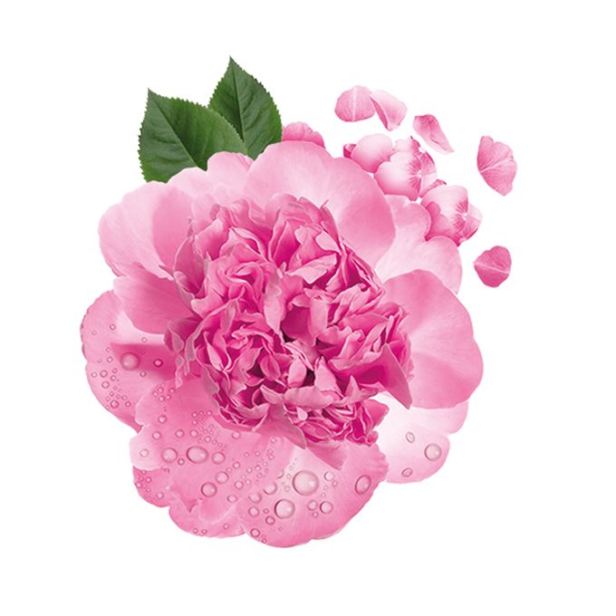 【Clearance Sale】Nice & Lovely Glycerine Lotion