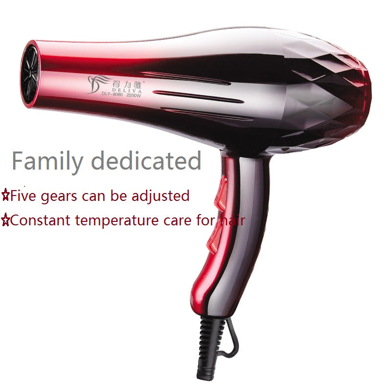 2200W Blow Dryer Household High-power Hair Dryer Hair Electric Hair Dryer Household Hairdressing Blow Canister EU Plug