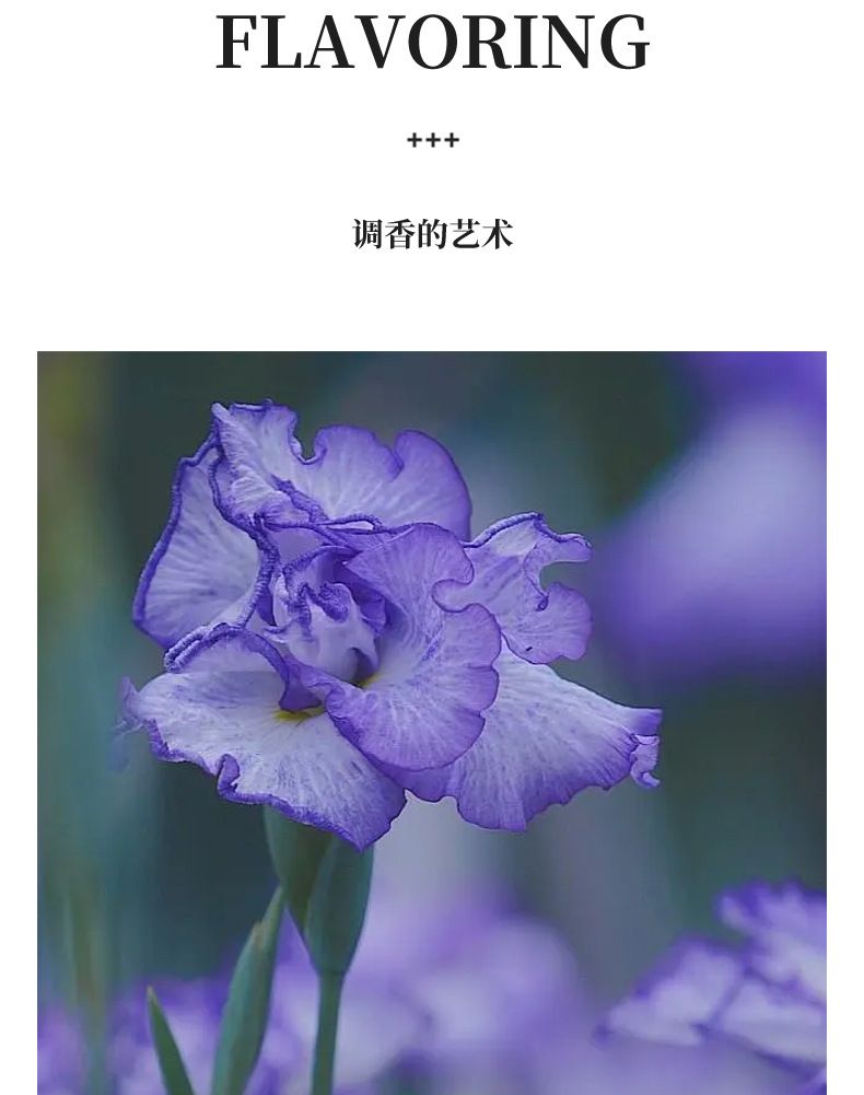 New Arrival 35ML*3 Women's Perfume Set Long Lasting Fresh Floral Fragrance Original Brand Parfum Spray 3 in 1 Gift Set