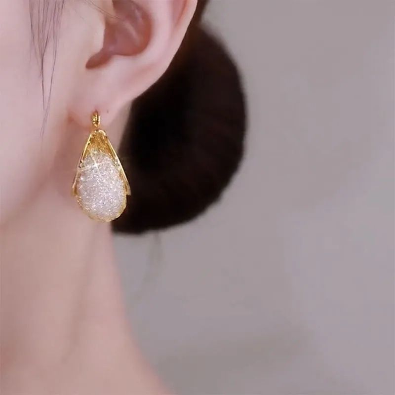 Mesh shaped crystal earrings for women, with a luxurious and high-end feel. Internet famous earrings, 2025 new trend, unique temperament, silver needle earrings