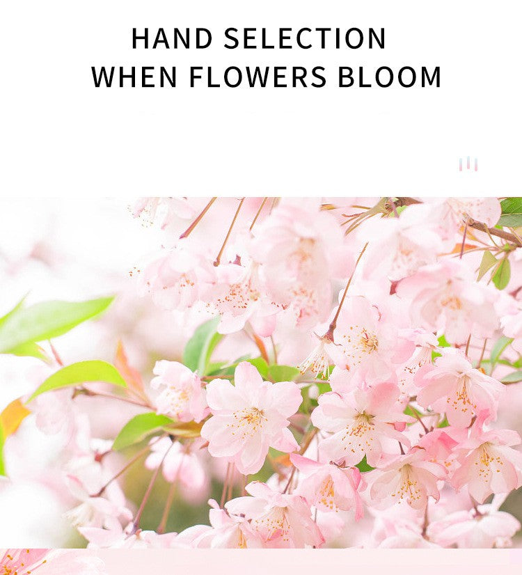 LULANZI Cherry Blossom perfume fragrances women fresh durable and elegant