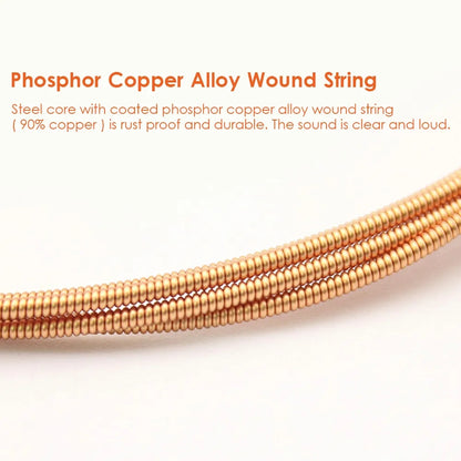 6 PCS Guitar Strings Acoustic Guitar Strings Steel Core Rust Proof String with Coated Phosphor Copper For High Moderate Hardness