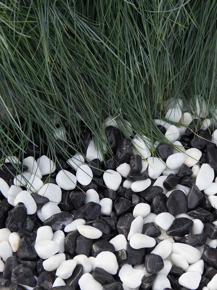 High Quality BLACK AND WHITE 1 KG PEBBLE STONES FOR INDOOR POTS AND OUTDOOR POTS, AND GARDEN DECOR
