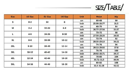 2 pack Women Lace Thong Comfort Lace Underwear Low Waist Panties Transparent Underwear Ladies Briefs Lingere Panty Underware Womens Lingerie Girl Panty