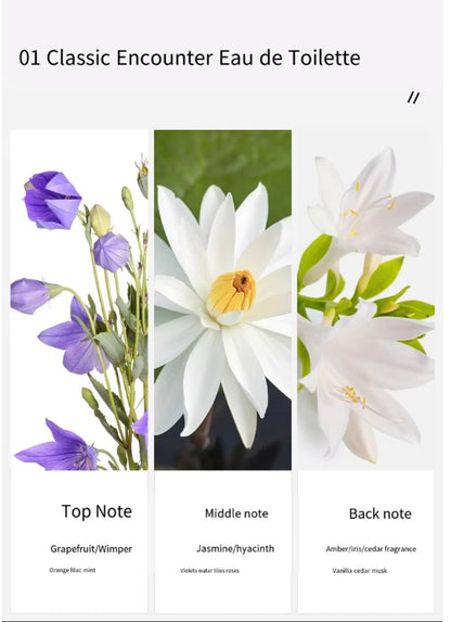 Best Sale 3PCS Custom Luxury Ladies Perfume Flowers Set 30ml*3 Perfume Bottles Birthday Christmas Party Dating Perfume Gift Set