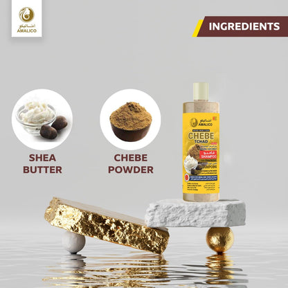 Amalico Chebe Shampoo with Chebe Powder and Shea Butter 500ml (16.9 OZ) Hair Shampoo for Hair Growth and Anti-dandruff Shampoo Anti itch Scalp Shampoo