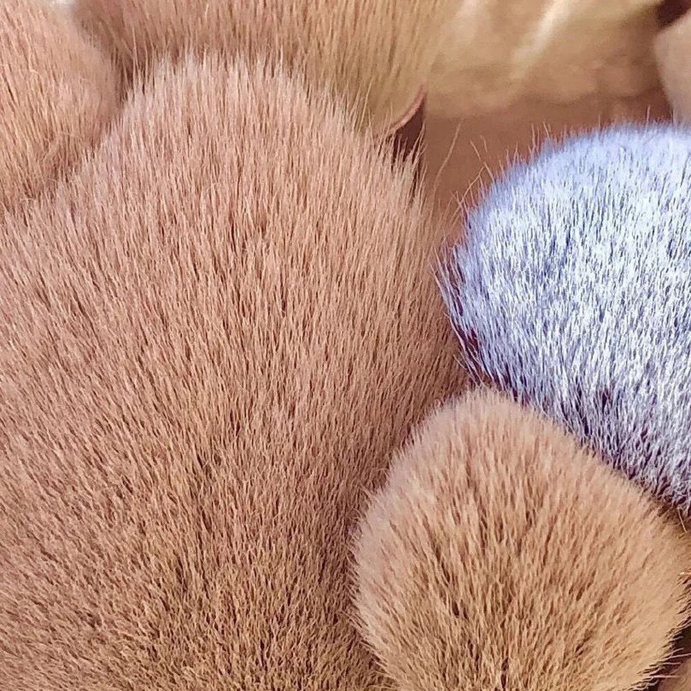 8Pcs Set With Bag Makeup Brushes Sets Eye Shadow Foundation Powder Eyelash Lip Concealer Blush Travel Portable Soft Make Up Brush Sets