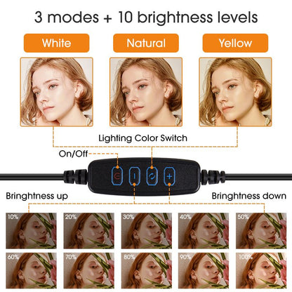 10-Inch Led Ring Light Adjustable 2.1m Stand For Selfie Straight Video Selfie Light Flash