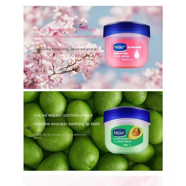 Vaseline Lip Balm Moisturizing Lipstick Base Moisturizer Makeup Natural Plant Anti-Cracking Lip Care Petroleum Jelly Lip Balm
