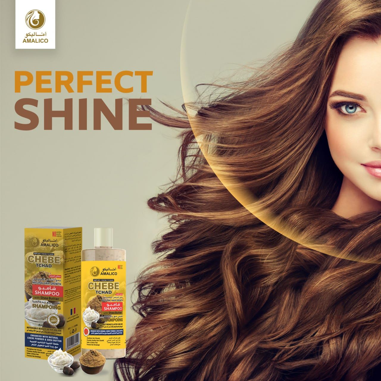 Amalico Chebe Shampoo with Chebe Powder and Shea Butter 500ml (16.9 OZ) Hair Shampoo for Hair Growth and Anti-dandruff Shampoo Anti itch Scalp Shampoo