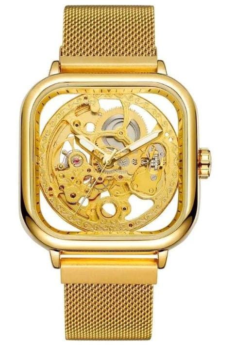 Forsining Automatic Watch – Skeleton Dial Self-Winding Mechanical Men’s Timepiece, Stainless-Steel Case, Luminous Hands, Leather/Mesh Strap Options, 3ATM Water Resistant, Gift Box (FS Series)