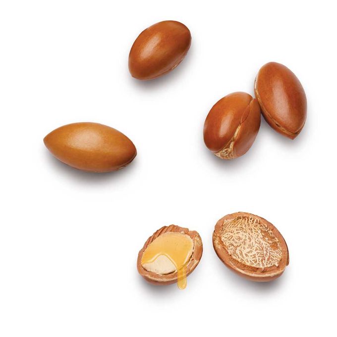 【Clearance Sale】Nice & Lovely Jelly In Cream Ultra Moisturizing Shea Butter 302g