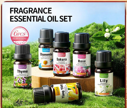 6PCS Fragrance Essential Oil Set,10ml*6pcs (Rose, Thyme, Chamomile, Lily, Ylang-Ylang, Sakura.