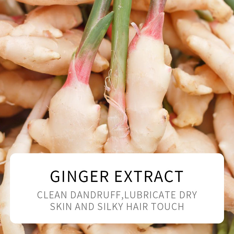 SADOER 500ml Ginger Refreshing & Smoothing Shampoo: Deep Scalp Nourishment, Anti-Frizz Formula, Repairs Roughness, Enhances Hair Shine