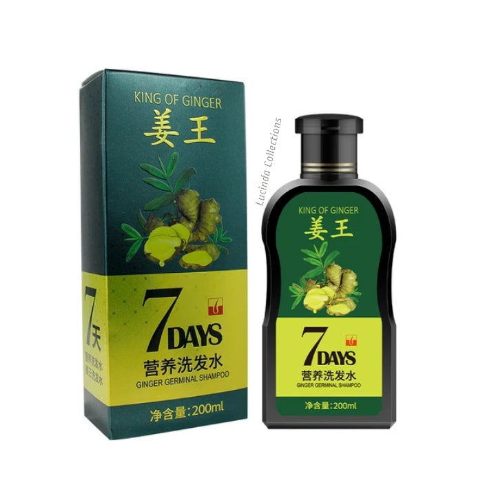 King Of Ginger 7 Days Germinal Shampoo Hair Care 200ml - Hair Care Growth Treatment Anti Hair Loss